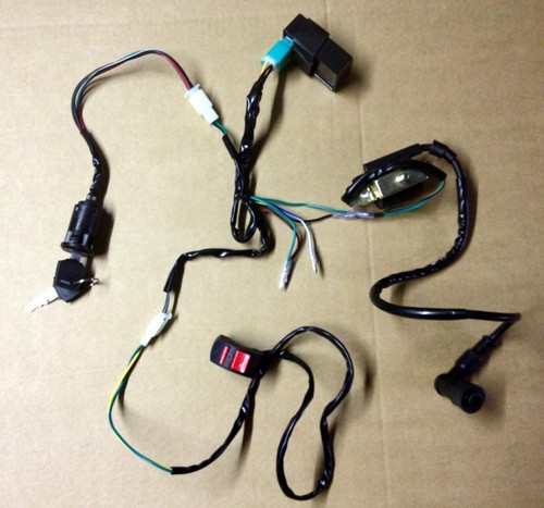 New wiring loom - +, pin