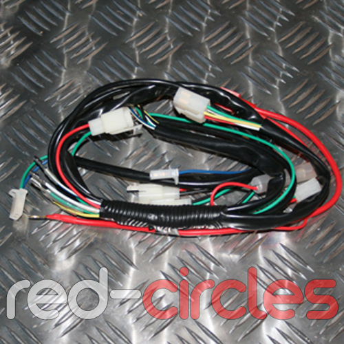 Pit dirt bike wiring loom - bike,